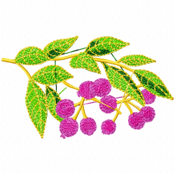 Cherry Embroidery Design 7